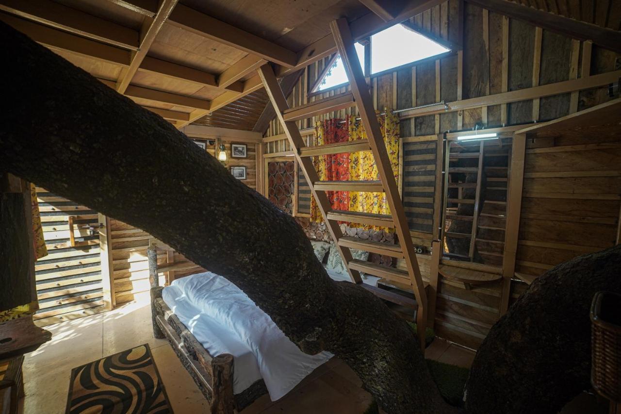 Tiger Fall Eco Resort Chakrata Extérieur photo