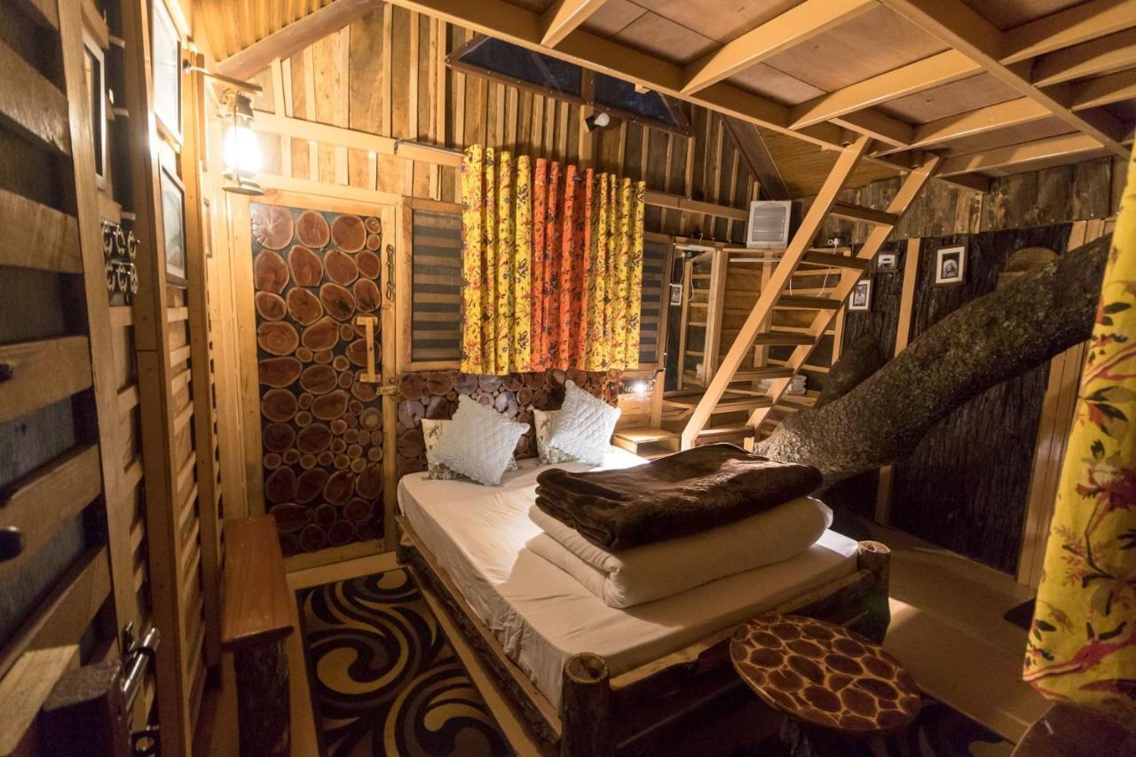 Tiger Fall Eco Resort Chakrata Extérieur photo