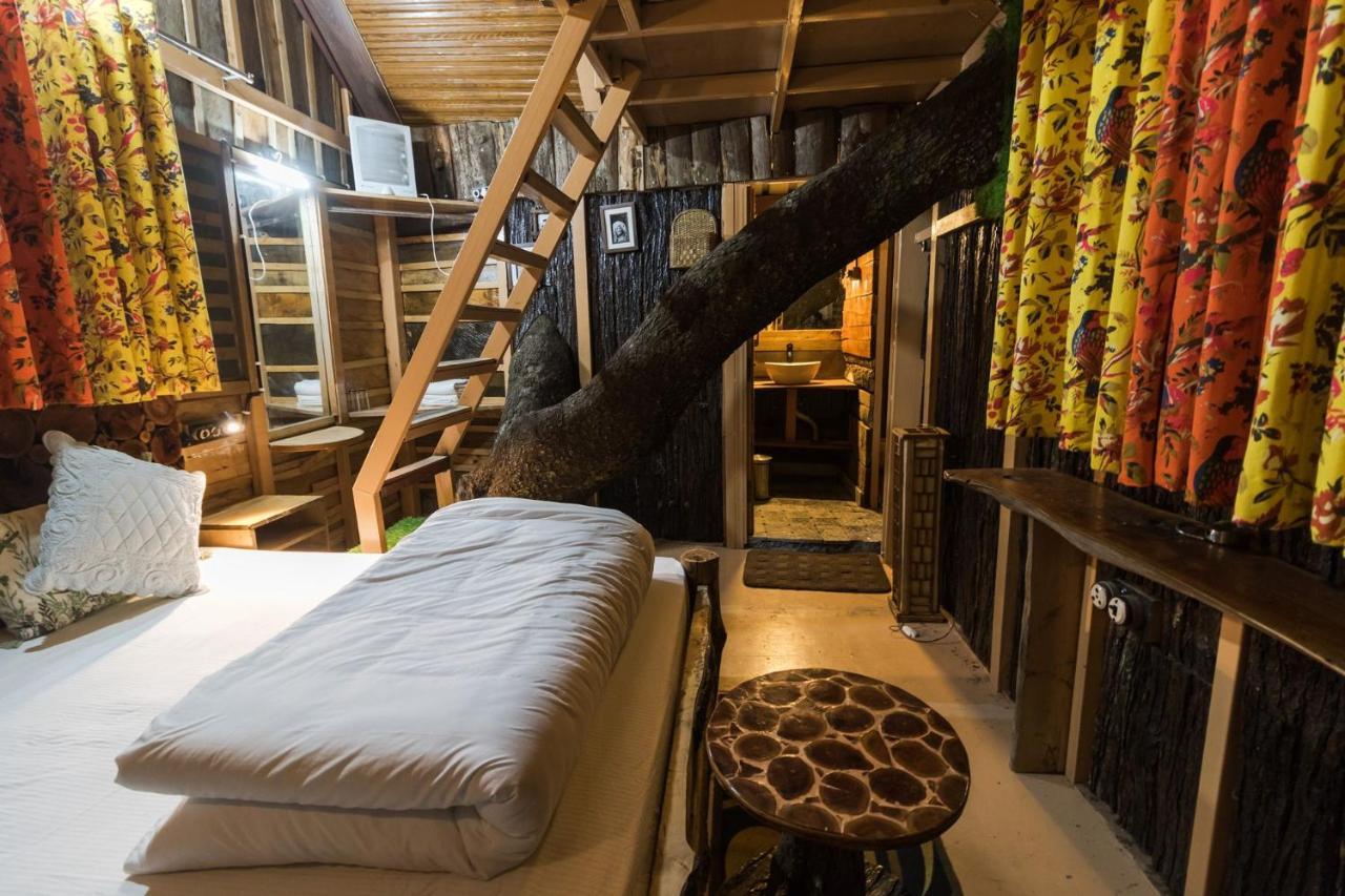 Tiger Fall Eco Resort Chakrata Extérieur photo